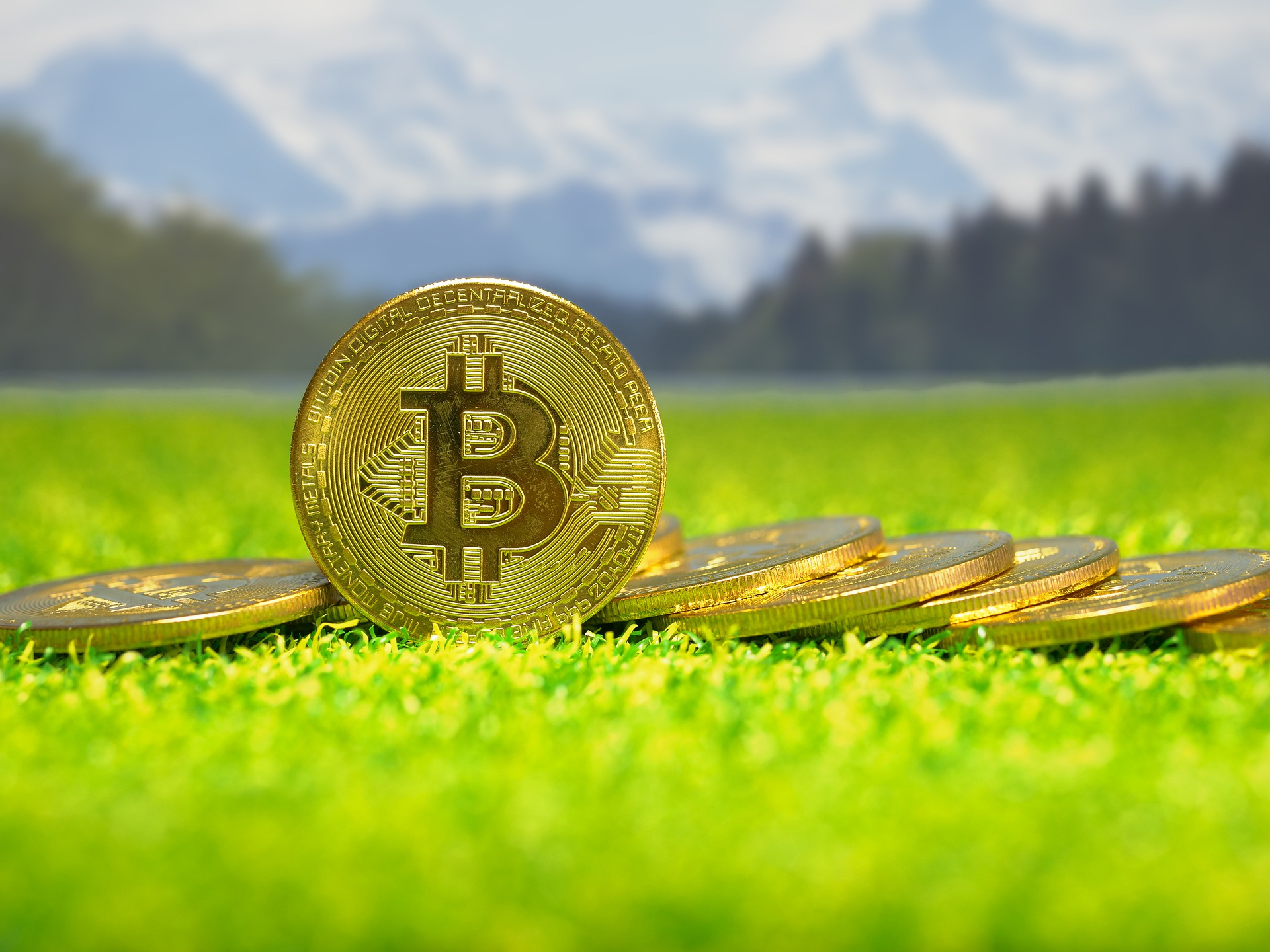 Discrepancy in Bitcoin Market Participation: Institutional Interest Surges While Retail Engagement Lags